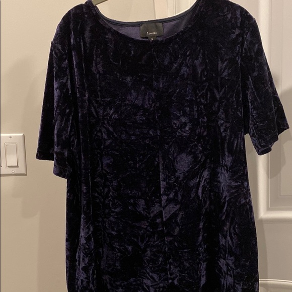 Velvet Navy shift dress - Picture 3 of 4